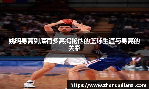 姚明身高到底有多高揭秘他的篮球生涯与身高的关系