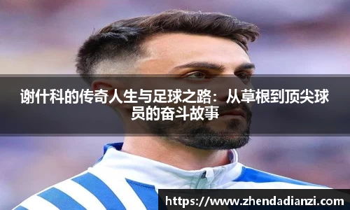 ballbet贝博官网