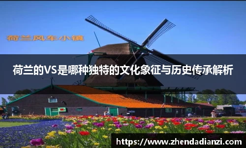 荷兰的VS是哪种独特的文化象征与历史传承解析