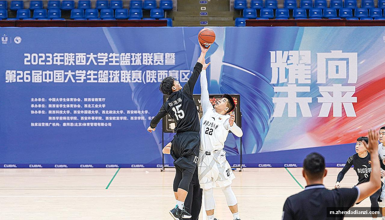 三亿体育有限公司🎯 精准直播，互动不停！💬